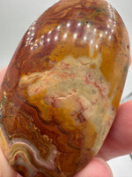 Money Agate Palm Stone #1
