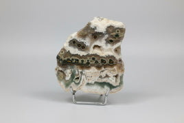 8th Vein Ocean Jasper Slab #62