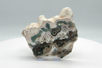 One of a Kind Bunny Shaped 8th Vein Ocean Jasper Slab #2