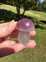 Fluorite Mushroom Carving #22