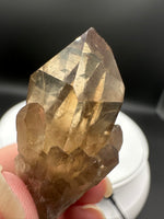 Natural Kundalini Citrine Lightbrary Crystal #12