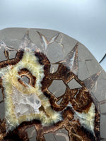 Septarian Nodule, Calcite, Muddy Creek, Orderville, Kane Co. UT UV Reactive #1