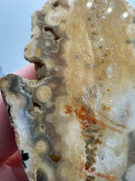 8th Vein Ocean Jasper Slab #58