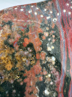 8th Vein Ocean Jasper Slab #60