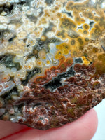 8th Vein Ocean Jasper Slab #40