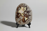 Septarian Nodule Calcite, Muddy Creek, Orderville, Kane Co. UT UV Reactive