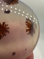 Scenic Dendritic Agate Cabochon #10