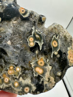 8th Vein Ocean Jasper Slab #19