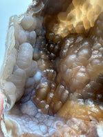 Withlacoochee River Agatized Coral #4