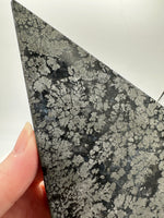 Free Form Pyrite Flowers Symbiosis Mixed Agate Slab #2
