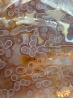 8th Vein Ocean Jasper Slab #66