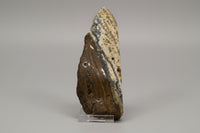 8th Vein Ocean Jasper Slab #15