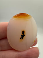 Designer Dendritic Agate Cabochon #10