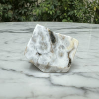 6th Vein Ocean Jasper Polished Freeform #49