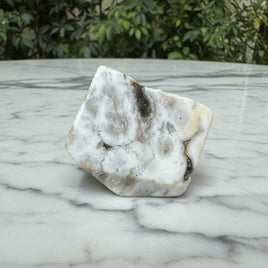 6th Vein Ocean Jasper Polished Freeform #49