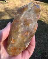 Savannah River Agate Specimen 1i