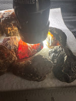 Madagascar Raw Amber One Pound Bag #1