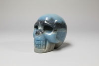 Unique Trolleite Skull #1