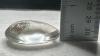Beautiful Seahorse Garden Quartz Inner Scene Carving #9