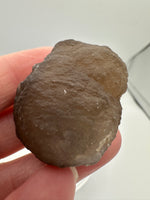 Panda Agate aka Truffle Chalcedony #7