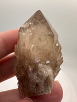 Natural Citrine Cathedral Crystal, Congo, Lightbrary #7