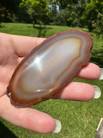 Agate Slice #20