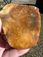 Savannah River Agate Specimen 1a