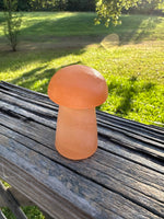 Peach Selenite Mushroom #2