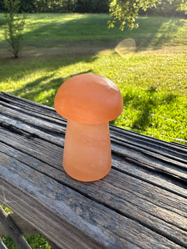 Peach Selenite Mushroom #2