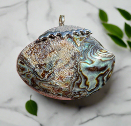 Abalone Shell Pendant