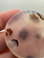 Scenic Dendritic Agate Cabochon #10