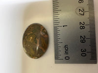 Rainforest Jasper (Rhyolite) Cabochon #3