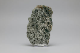 8th Vein Ocean Jasper Slab #18