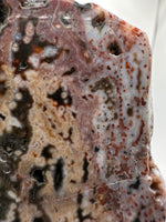 8th Vein Ocean Jasper Slab #36