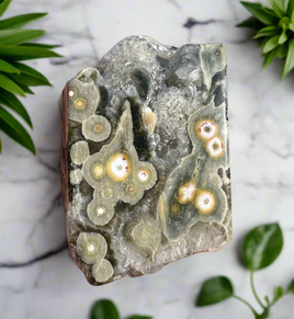 8th Vein Ocean Jasper Polished Free Form #12