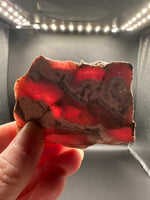 Natural Rhodochrosite Slab #10 – Pink Banded Collector Specimen