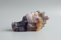 Fluorite Dragon Head Carving #3