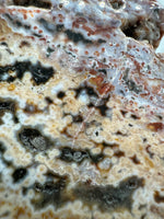 8th Vein Ocean Jasper Slab #40