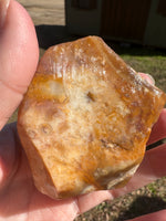 Savannah River Agate Specimen 1e