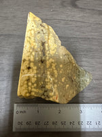 8th Vein Ocean Jasper Slab #99