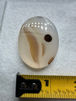 Designer Dendritic Agate Cabochon #8