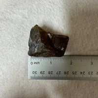 Raw Amber Specimen #9