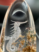 Beautiful Seahorse Garden Quartz Inner Scene with Rainbow Carving #12