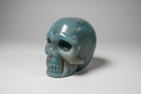 Unique Trolleite Skull #4