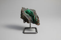 Conichalcite, 0juela, Mapimi, Durango, Mexico