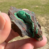 Conichalcite, 0juela, Mapimi, Durango, Mexico