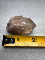 Natural Citrine Cathedral Crystal, Congo, Lightbrary #7