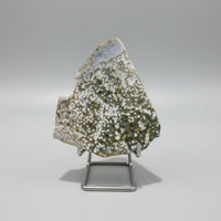 8th Vein Ocean Jasper Slab #77