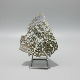 8th Vein Ocean Jasper Slab #77