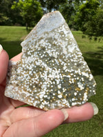 8th Vein Ocean Jasper Slab #77